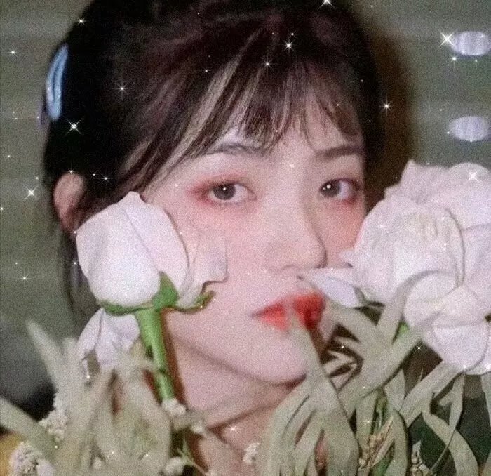 国子监来了个女弟子